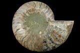 Agatized Ammonite Fossil (Half) - Crystal Chambers #111492-1